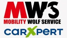 MOBILITY-WOLF-SERVICE S.R.L. logo