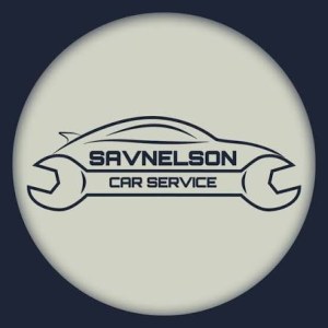 SAVNELSON GSA SRL logo