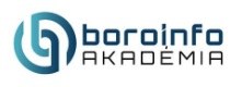 BORO - INFO SRL logo